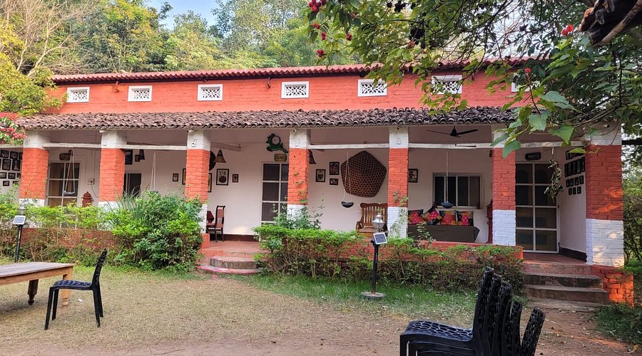 Bhoramdeo Jungle Retreat: An Earthy Symphony in the Wild